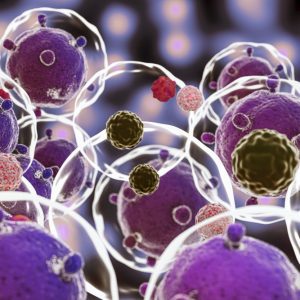 Viral Oncology: Understanding Cancer Viruses Course Online Course - Professional Certification by NSTC